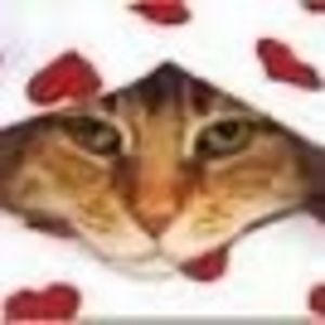 Meet your Posher, Ann